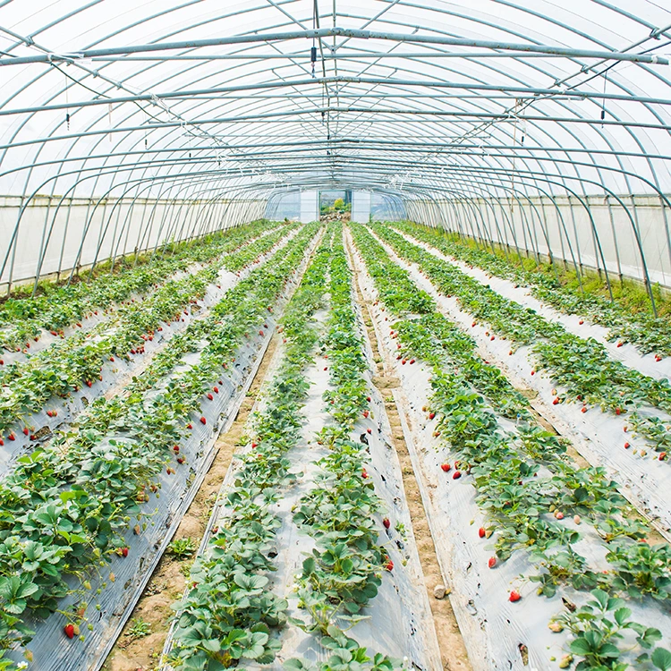 Agricultura